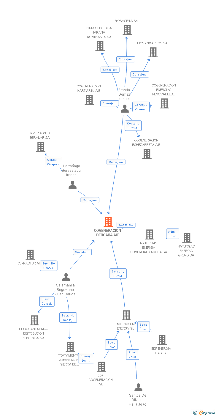Vinculaciones societarias de COGENERACION BERGARA AIE