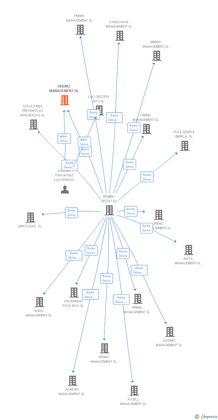 Vinculaciones societarias de DREMO MANAGEMENT SL