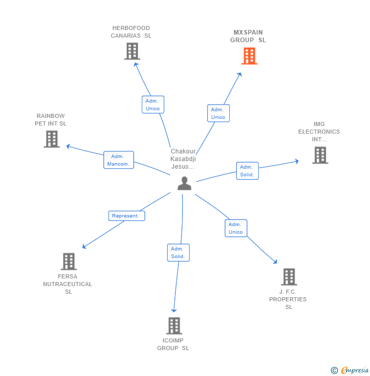 Vinculaciones societarias de MXSPAIN GROUP SL