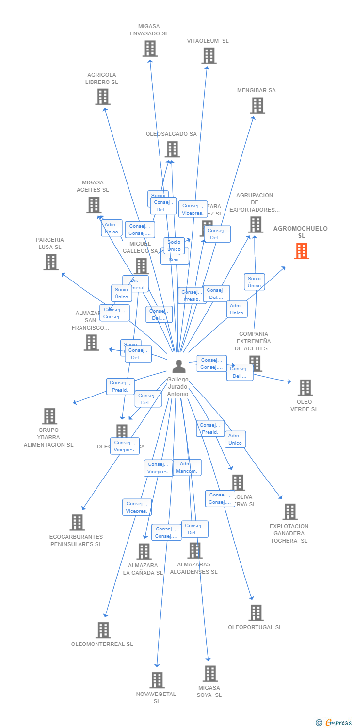 Vinculaciones societarias de AGROMOCHUELO SL