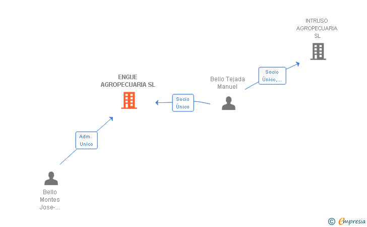 Vinculaciones societarias de ENGUE AGROPECUARIA SL