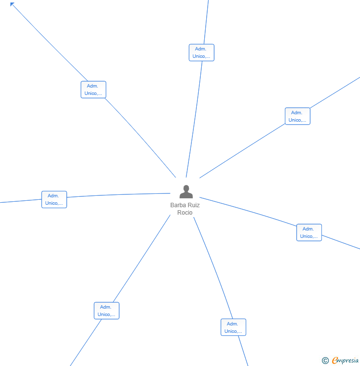 Vinculaciones societarias de BARBA RUIZ AUDITORES SL
