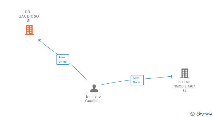 Vinculaciones societarias de DR. GAUDIOSO SL