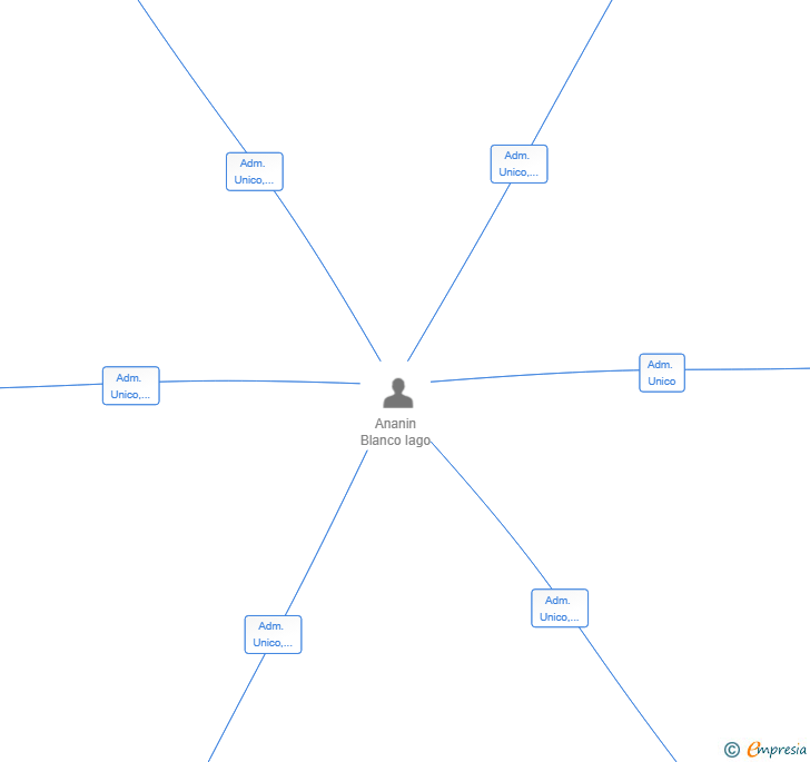 Vinculaciones societarias de THE ANANIN SOLUTIONS SL