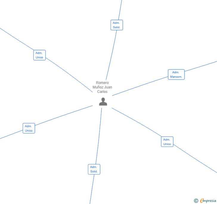Vinculaciones societarias de SYNEPSIA ARTIFICIAL INTELLIGENCE SL