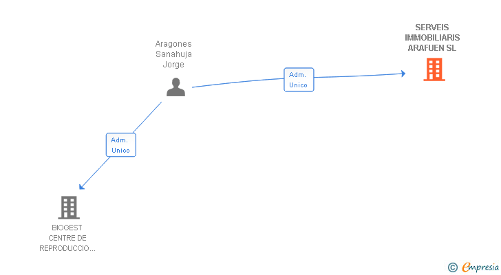 Vinculaciones societarias de SERVEIS IMMOBILIARIS ARAFUEN SL