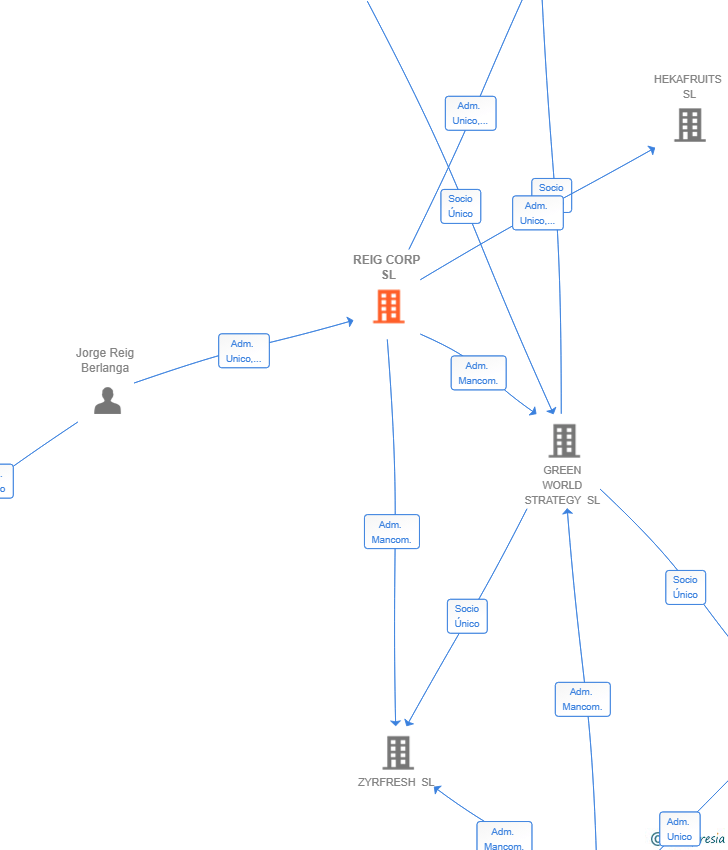 Vinculaciones societarias de REIG CORP SL