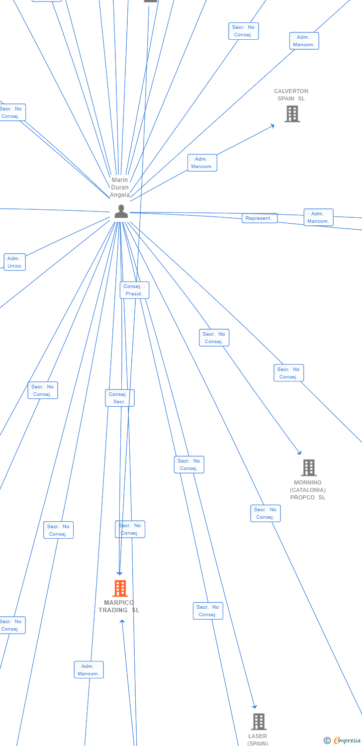 Vinculaciones societarias de MARPICO TRADING SL