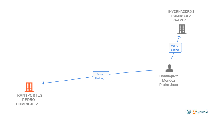 Vinculaciones societarias de TRANSPORTES PEDRO DOMINGUEZ SL