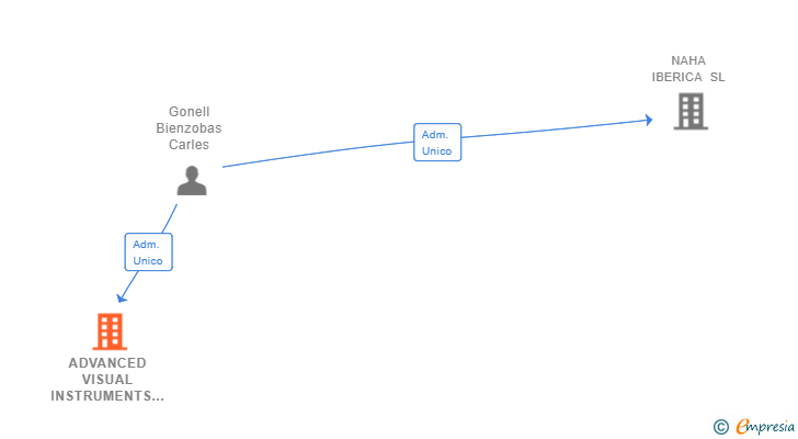 Vinculaciones societarias de ADVANCED VISUAL INSTRUMENTS SL