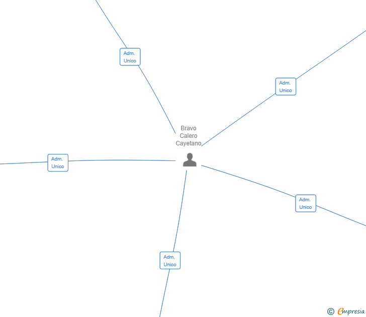 Vinculaciones societarias de ESTRUCTURAS MD 77 SL