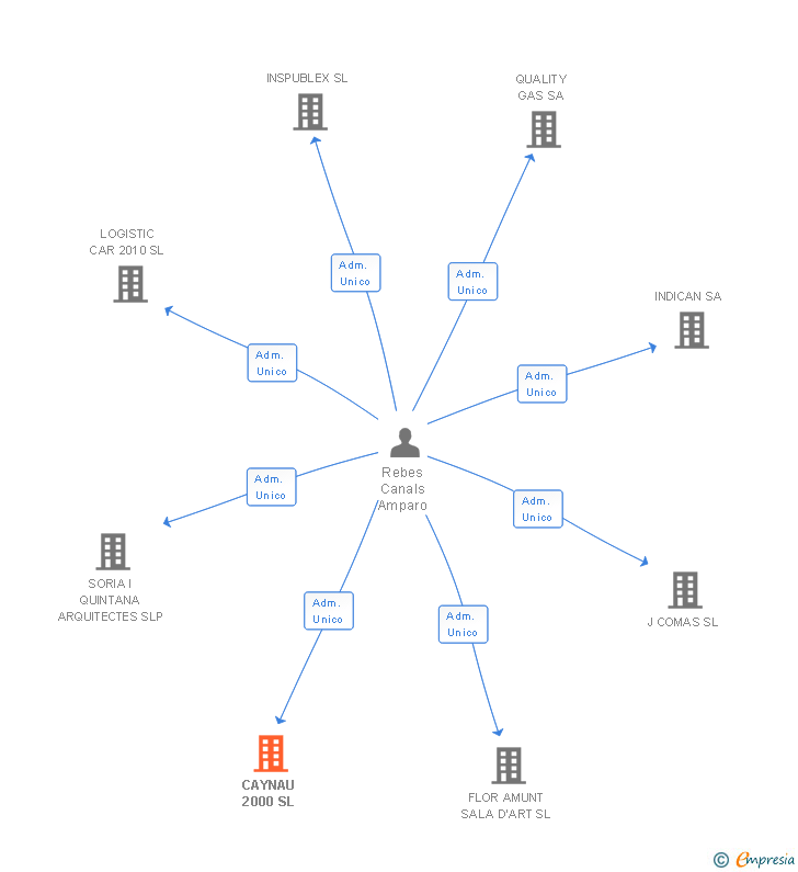 Vinculaciones societarias de CAYNAU 2000 SL