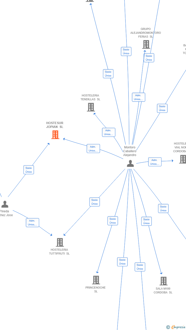 Vinculaciones societarias de HOSTESUR JOPIAN SL
