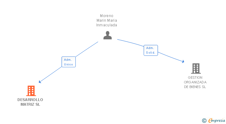 Vinculaciones societarias de DESARROLLO MATRIZ SL