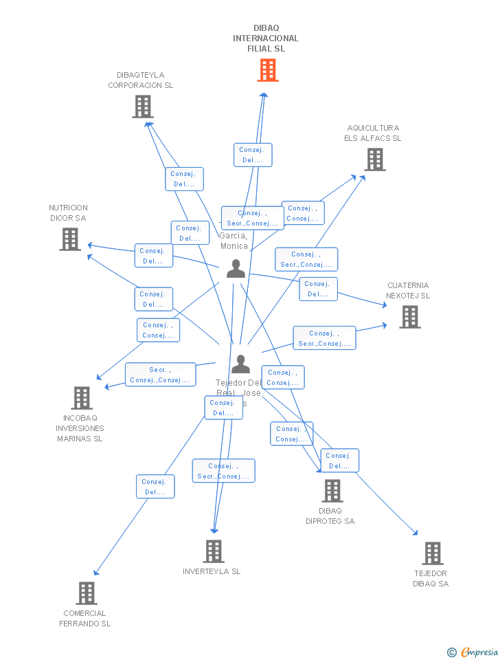 Vinculaciones societarias de DIBAQ INTERNACIONAL FILIAL SL