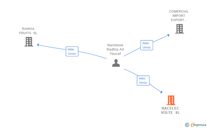 Vinculaciones societarias de RACELEC VOLTE SL