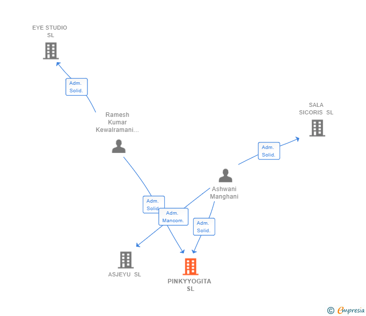 Vinculaciones societarias de PINKYYOGITA SL