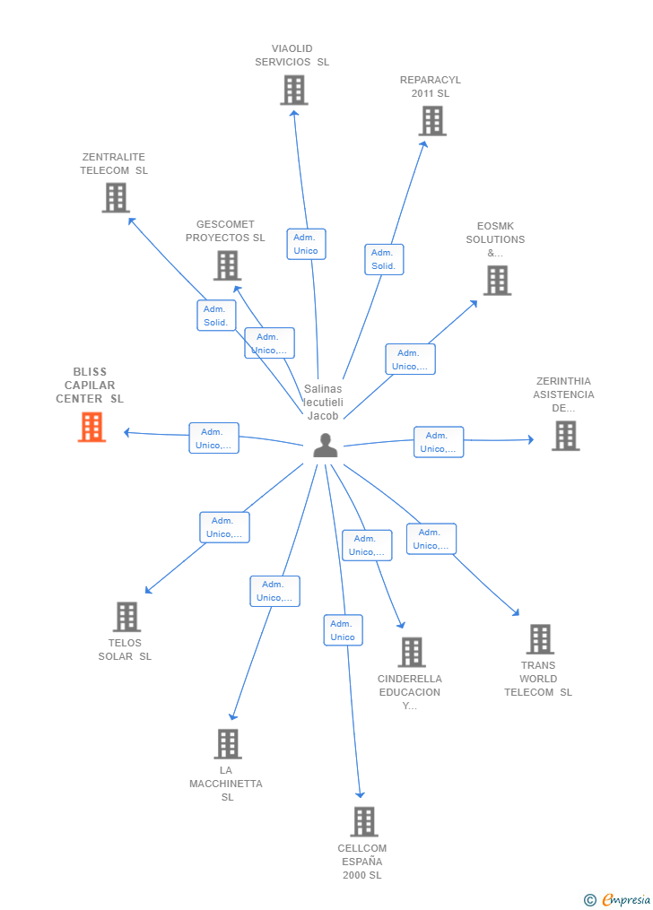 Vinculaciones societarias de BLISS CAPILAR CENTER SL