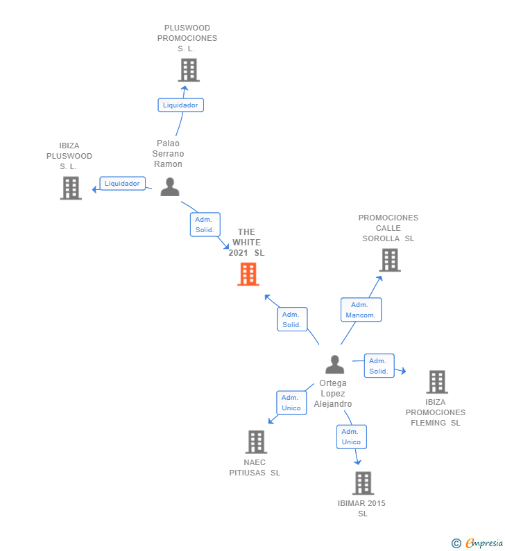 Vinculaciones societarias de THE WHITE 2021 SL