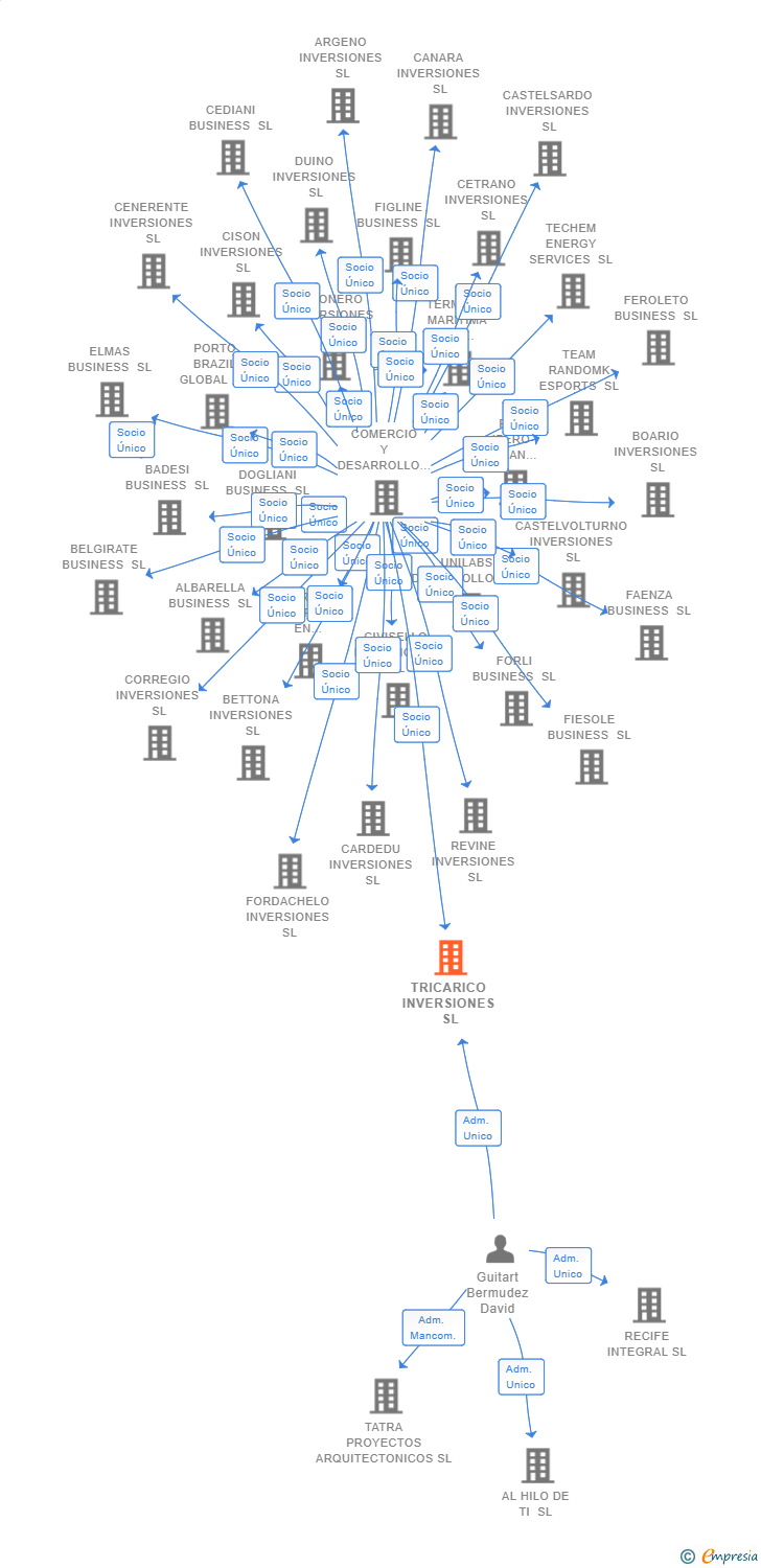 Vinculaciones societarias de TRICARICO INVERSIONES SL