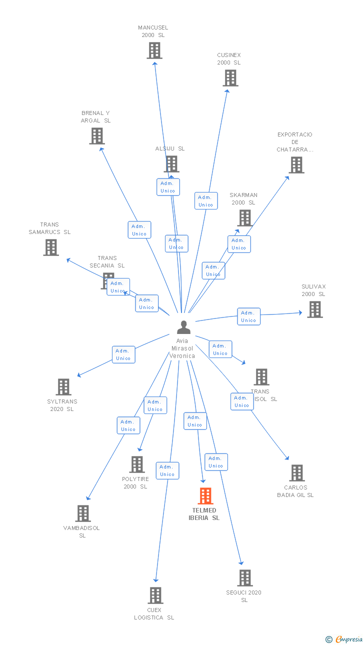 Vinculaciones societarias de TELMED IBERIA SL