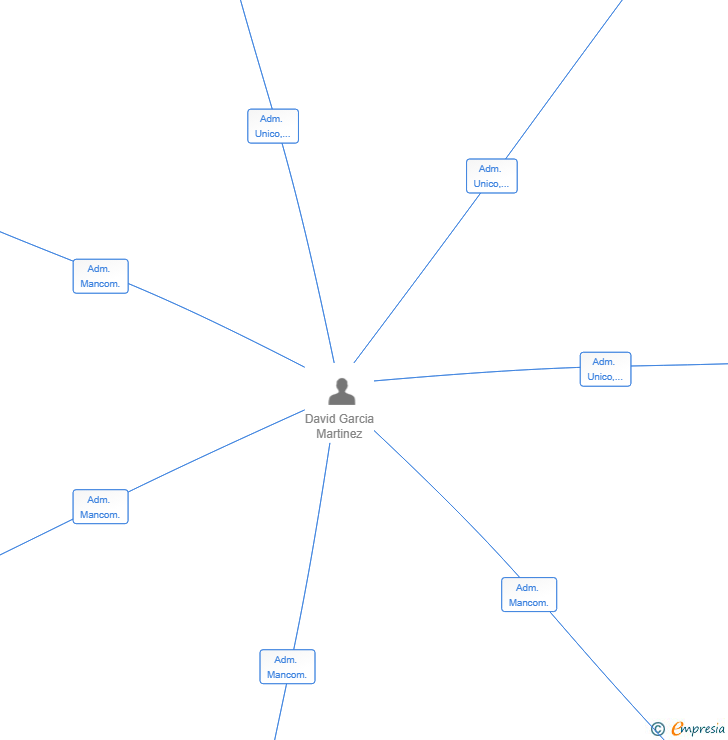 Vinculaciones societarias de D&P STRATEGIC ADVISORS SL