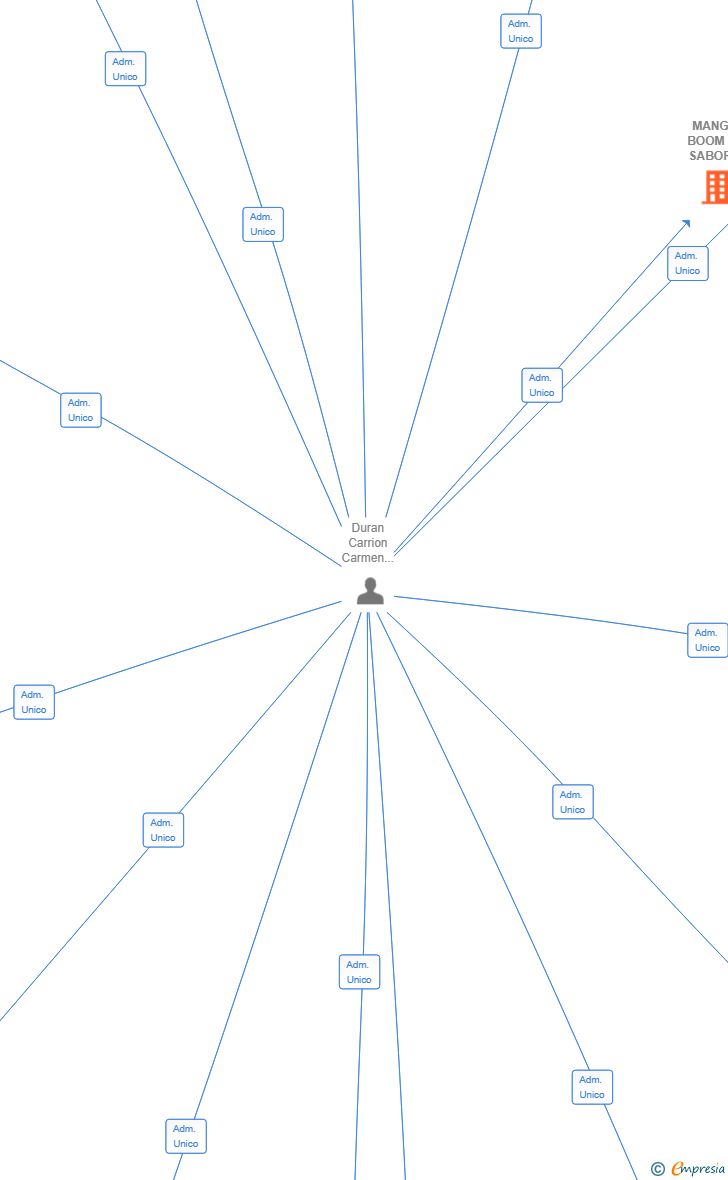 Vinculaciones societarias de MANGO BOOM EL SABOR PERFECTO SL