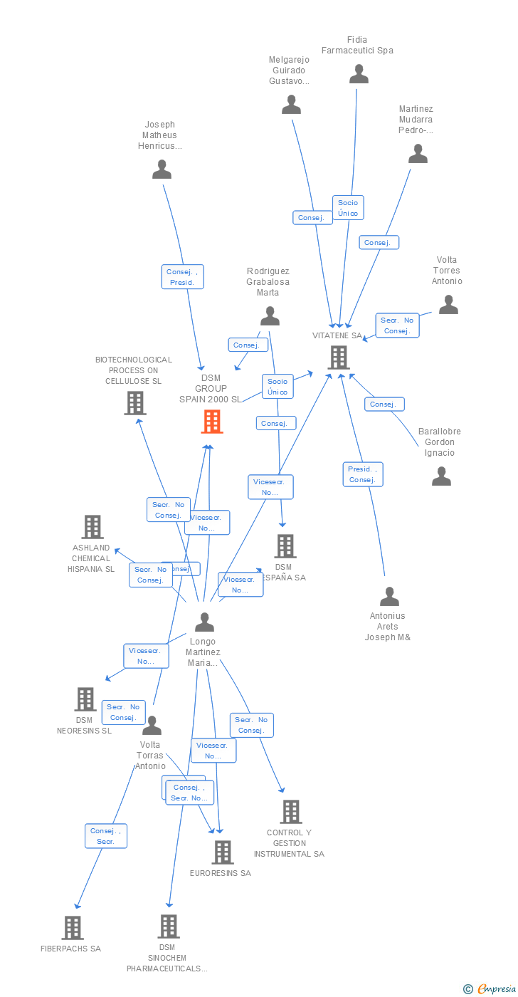 Vinculaciones societarias de DSM GROUP SPAIN 2000 SL