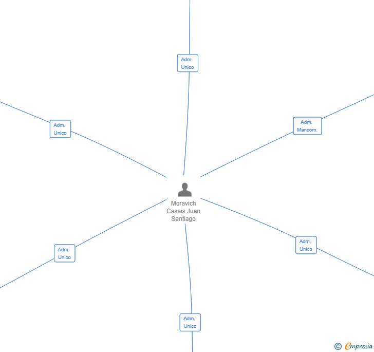 Vinculaciones societarias de FORTISHIELD SECURITY 2001 SL