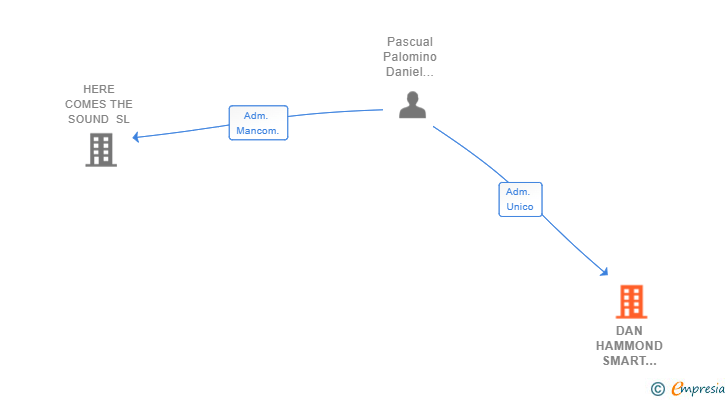 Vinculaciones societarias de DAN HAMMOND SMART BUSINESS SL