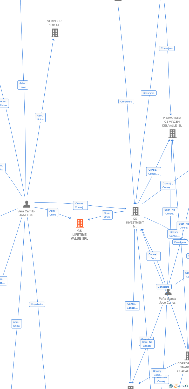 Vinculaciones societarias de GS LIFETIME VALUE SRL