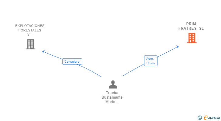 Vinculaciones societarias de PRIM FRATRES SL