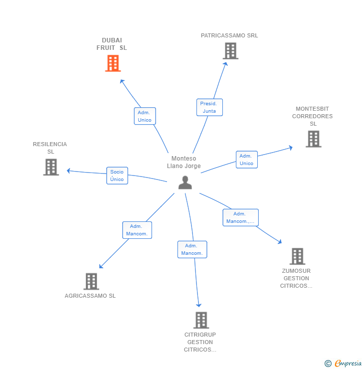 Vinculaciones societarias de DUBAI FRUIT SL