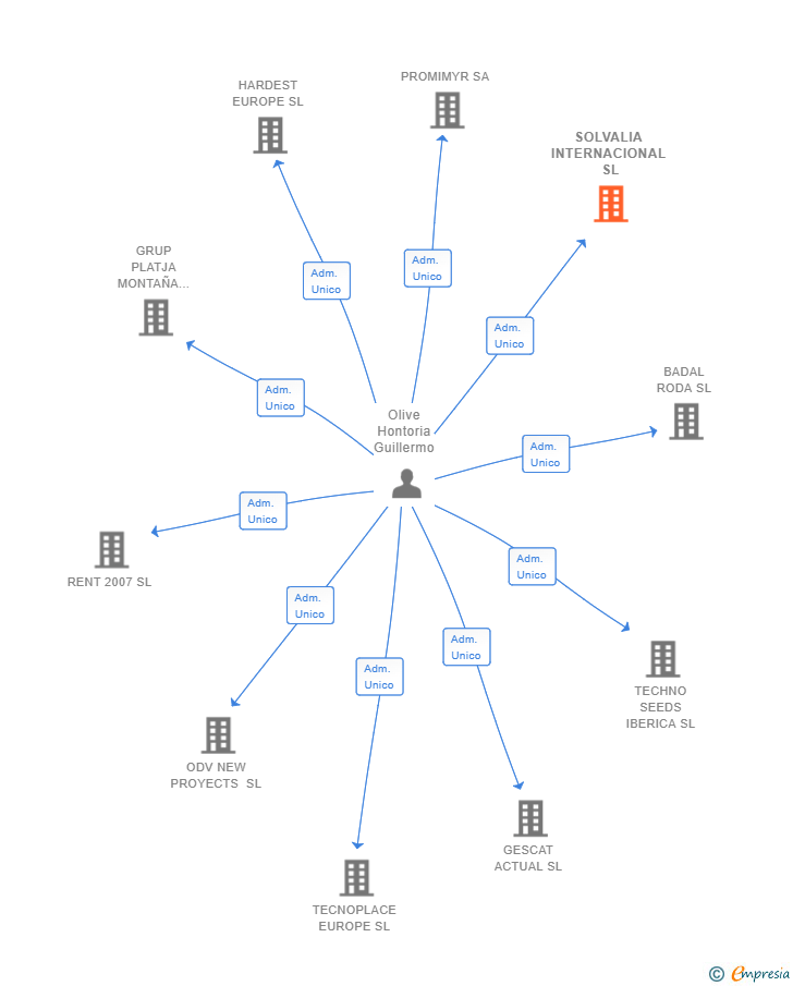 Vinculaciones societarias de SOLVALIA INTERNACIONAL SL