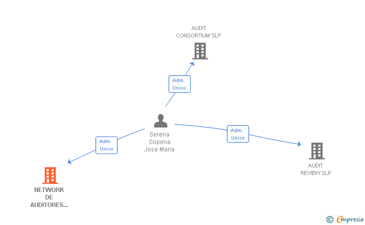 Vinculaciones societarias de NETWORK DE AUDITORES & EXPERTOS SLP