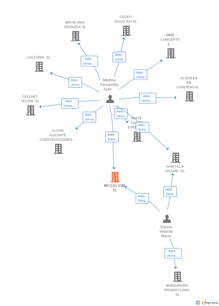Vinculaciones societarias de MEGALIUM SL