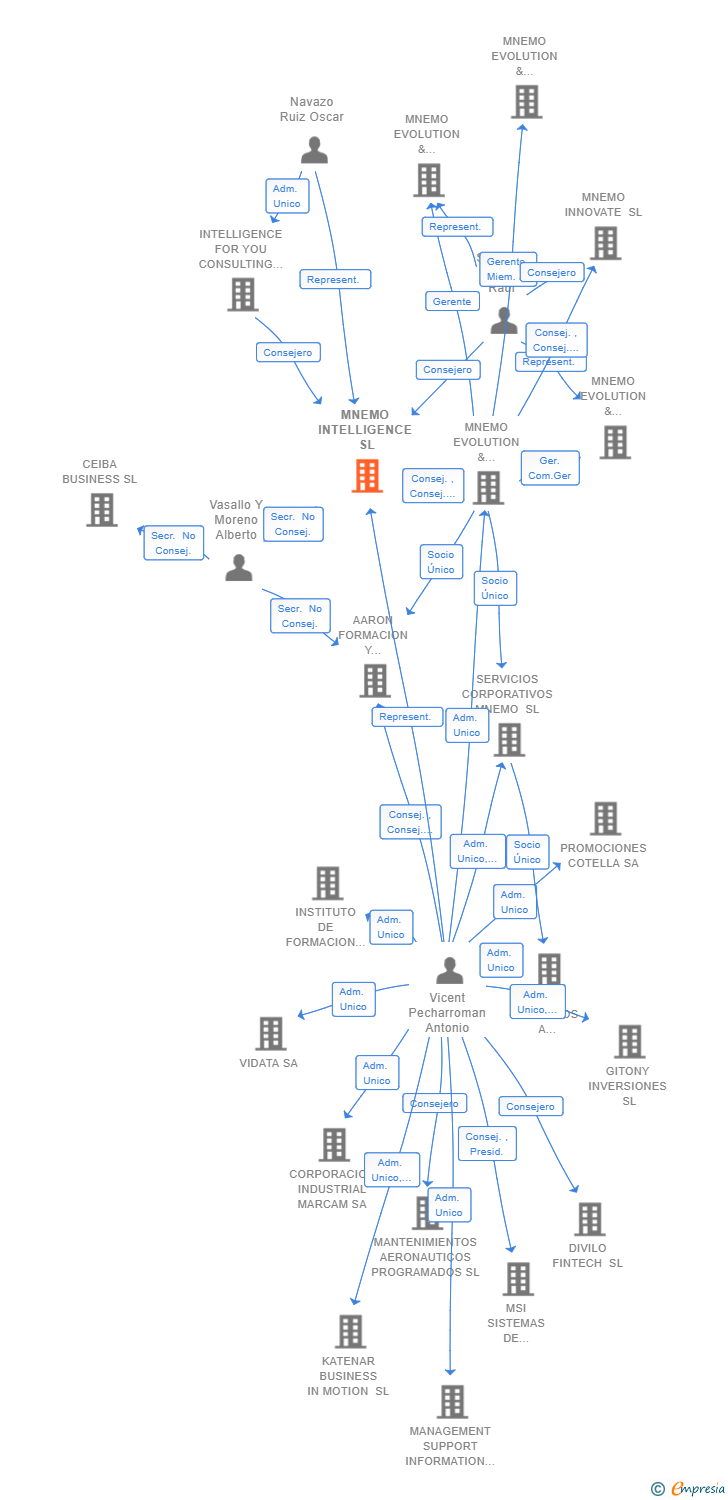 Vinculaciones societarias de MNEMO INTELLIGENCE SL