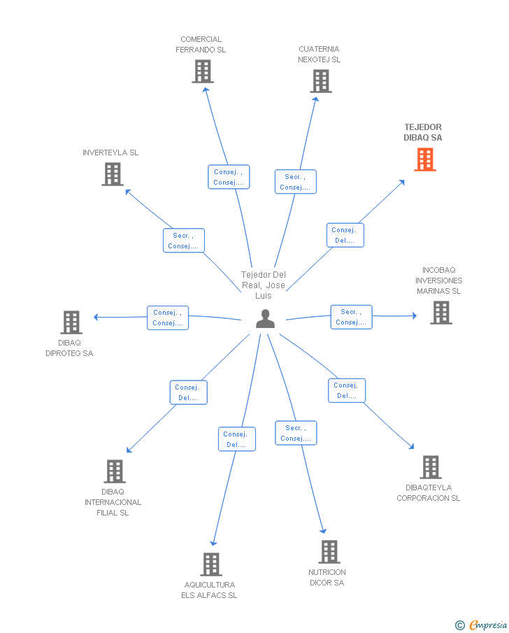Vinculaciones societarias de TEJEDOR DIBAQ SA