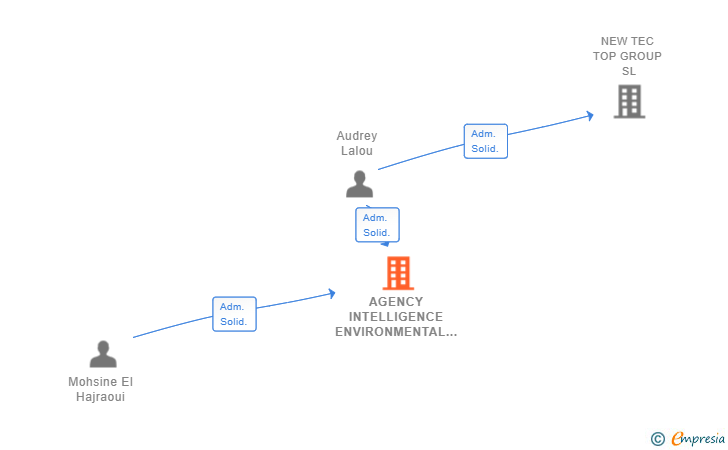 Vinculaciones societarias de AGENCY INTELLIGENCE ENVIRONMENTAL SL