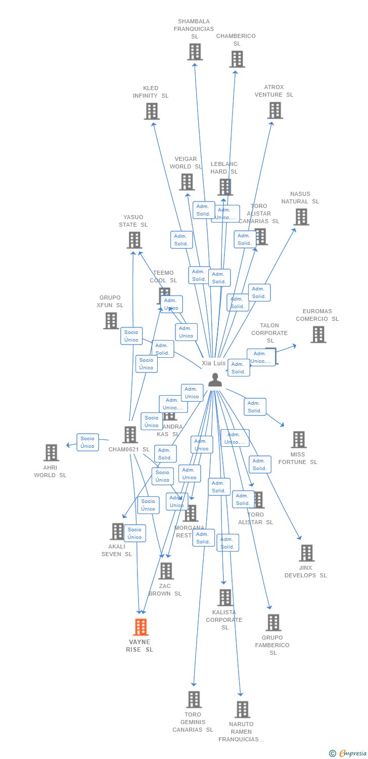 Vinculaciones societarias de VAYNE RISE SL