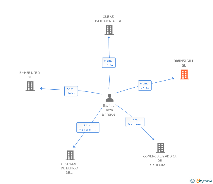 Vinculaciones societarias de DMINSIGHT SL