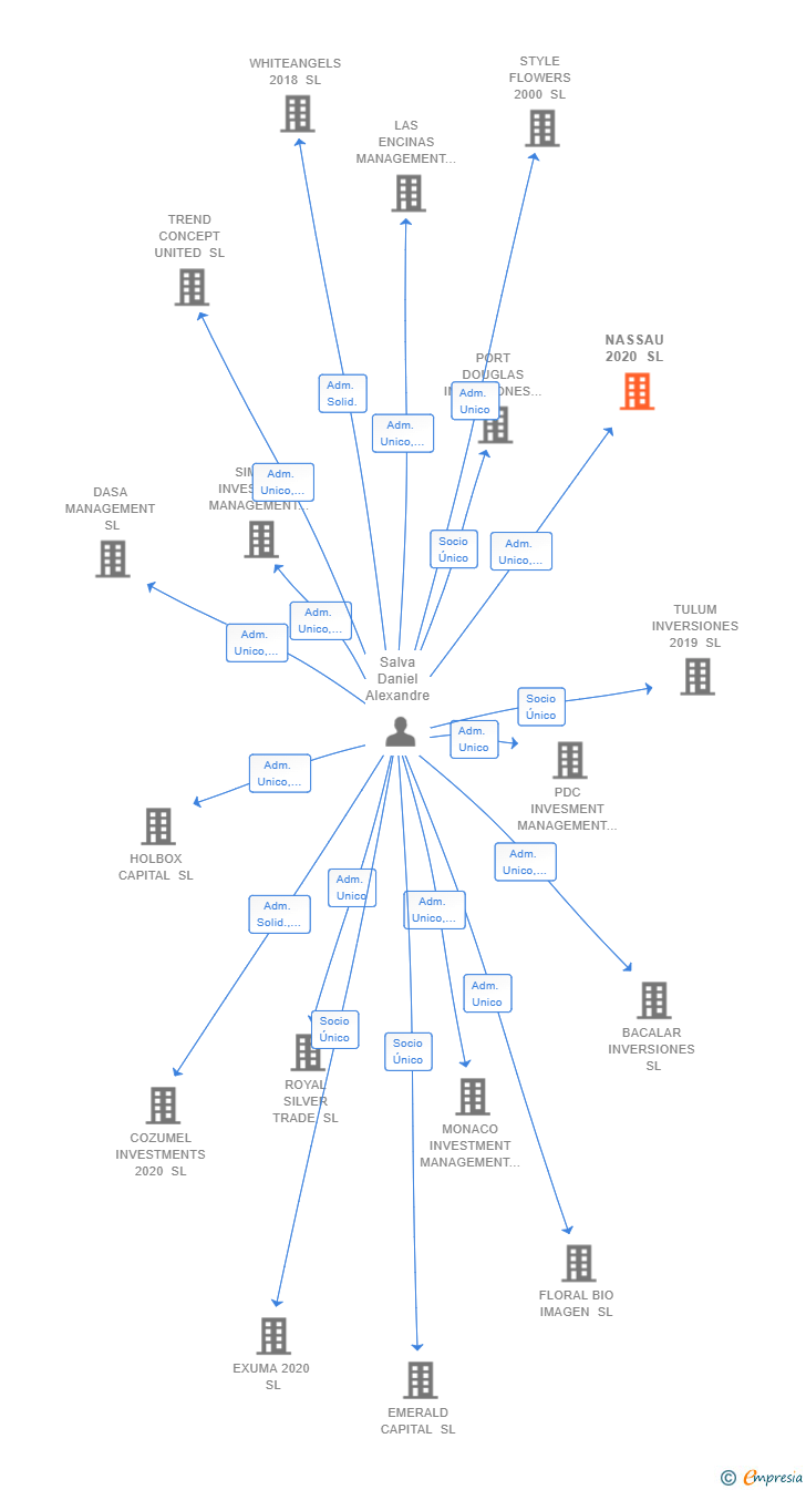 Vinculaciones societarias de NASSAU 2020 SL