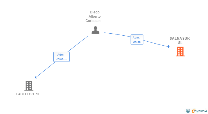 Vinculaciones societarias de SALNASUR SL