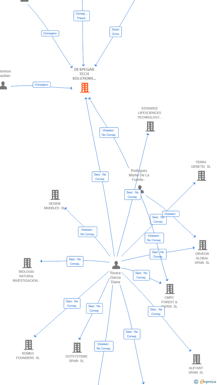 Vinculaciones societarias de DESPEGAR TECH SOLUTIONS SL