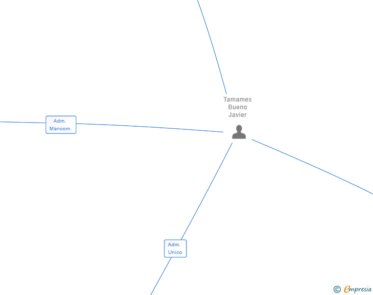 Vinculaciones societarias de SAFEDATA SYSTEMS SL