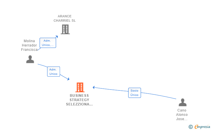 Vinculaciones societarias de BUSINESS STRATEGY SELEZZIONA SL