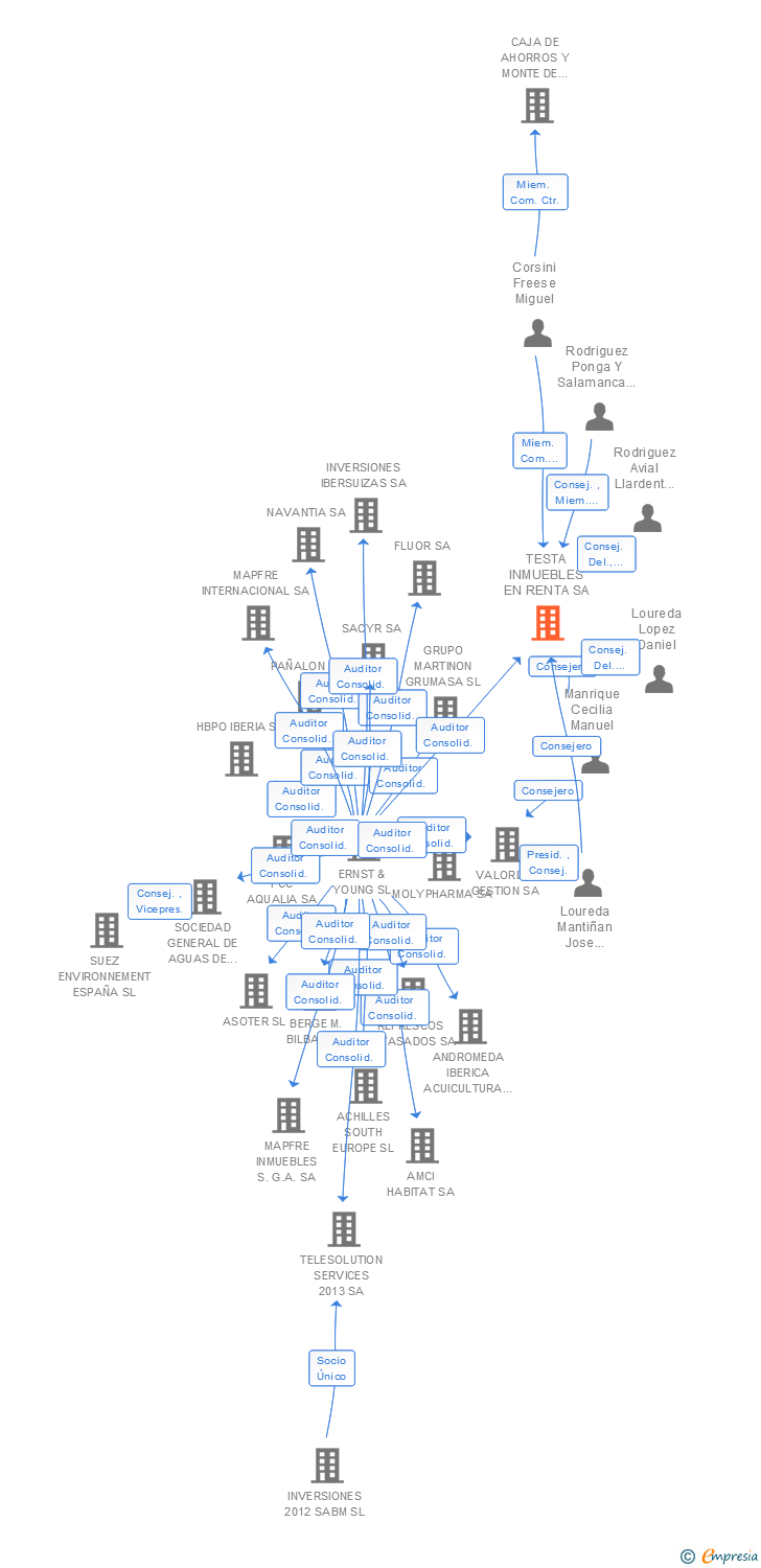 Vinculaciones societarias de TESTA INMUEBLES EN RENTA SOCIMI SA
