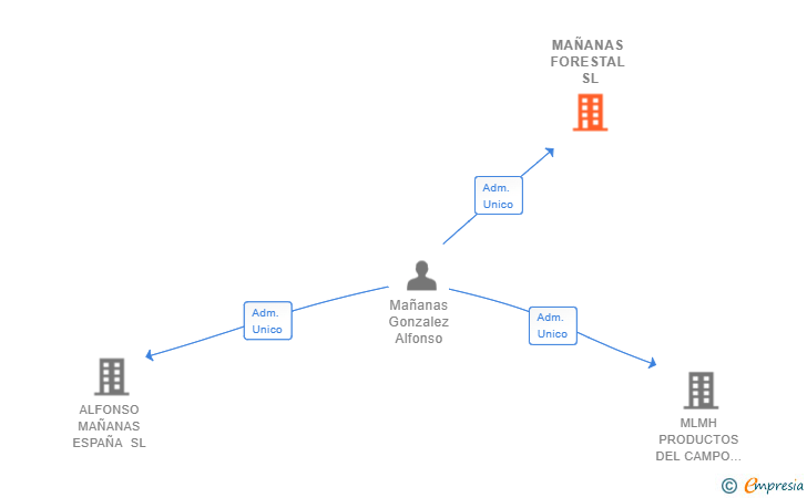 Vinculaciones societarias de MAÑANAS FORESTAL SL