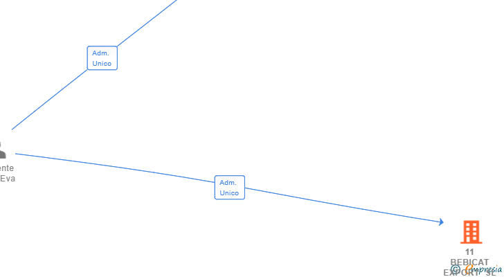 Vinculaciones societarias de 11 BEBICAT EXPORT SL