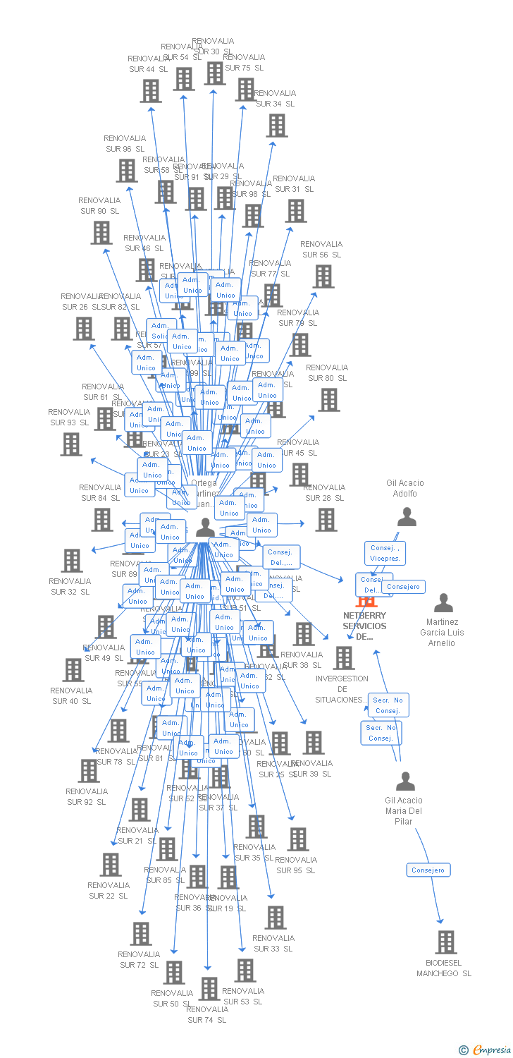 Vinculaciones societarias de NETBERRY SERVICIOS DE INTERNET SL